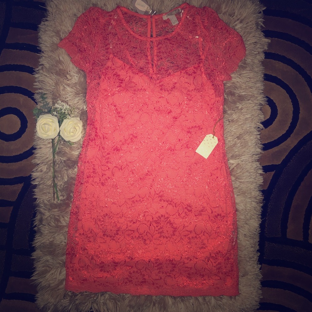 Brand new lace dress 👗(perfect for a celebration)